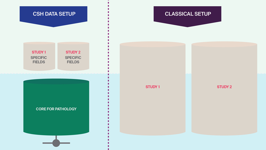 Clinical Study Hub Database