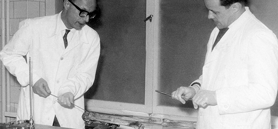 AO History and Archive