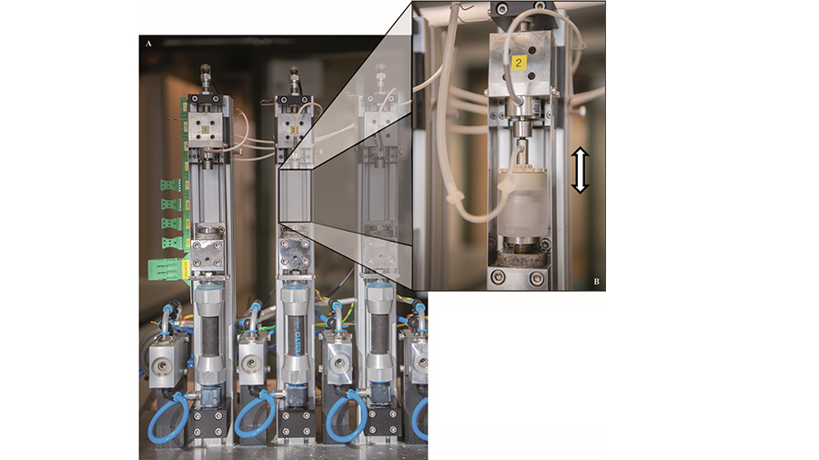 Disc and Cartilage Biology