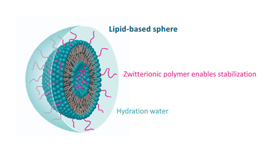 liposphere news image