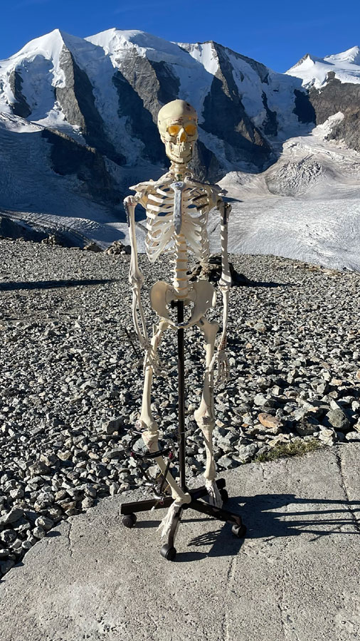 advancing traumatology together body image