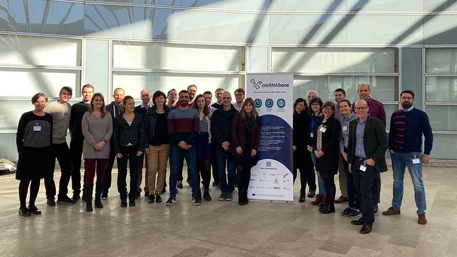 group picture cmRNAbone