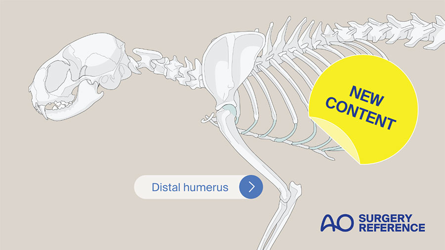 AO Surgery Reference’s new Cat distal humerus module is available