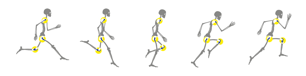 Best-in-class education in joint preservation and replacement